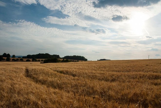 Na první hektary získají zemědělci vyšší podporu, pokud budou hospodařit ekologicky, dostanou až 20 tisíc korun na ha
